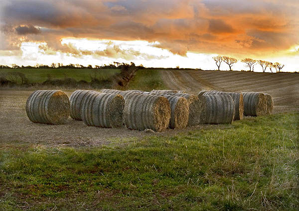 Hay Bales at Sunrise